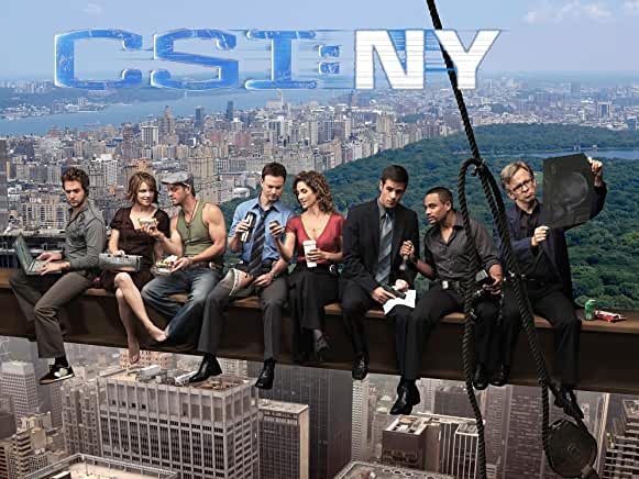 CSI:ニューヨーク／CSI:NY シーズン5