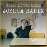 Three Little Birds - Joshua Radin