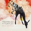Ghosts - Trampled By Turtles