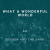 What A Wonderful World - Reuben And The Dark & AG