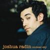 The Fear You Won't Fall - Joshua Radin