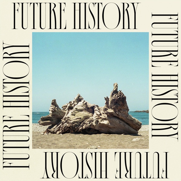 Future History - Luke Sital-Singh
